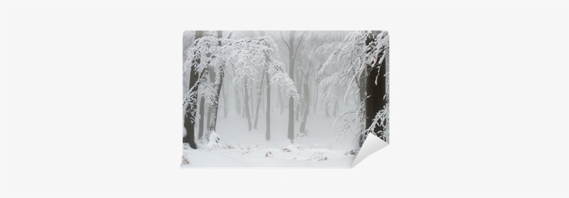 Black Tree Branches And White Snow Wall Mural • Pixers® - Winter, transparent png #3921146