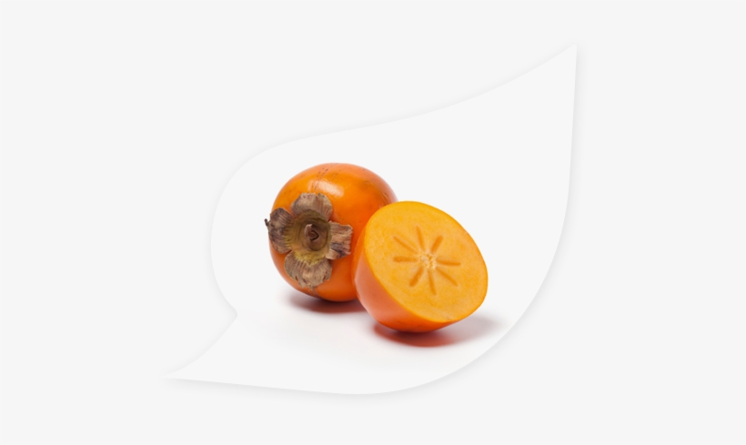 New Zealand Persimmon, transparent png #3921348