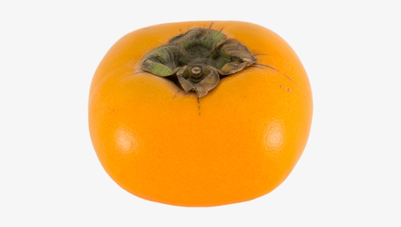 Persimmons - Persimmon, transparent png #3921640