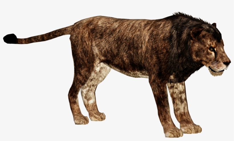 Cave Lion - Zoo Tycoon 2 Cave Lion, transparent png #3921668
