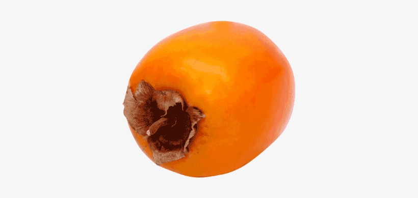 Plum Tomato, transparent png #3921705