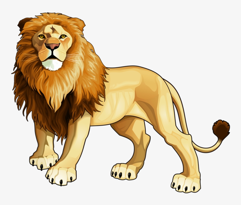 Яндекс - Фотки - Lion's Face Throw Blanket, transparent png #3921808