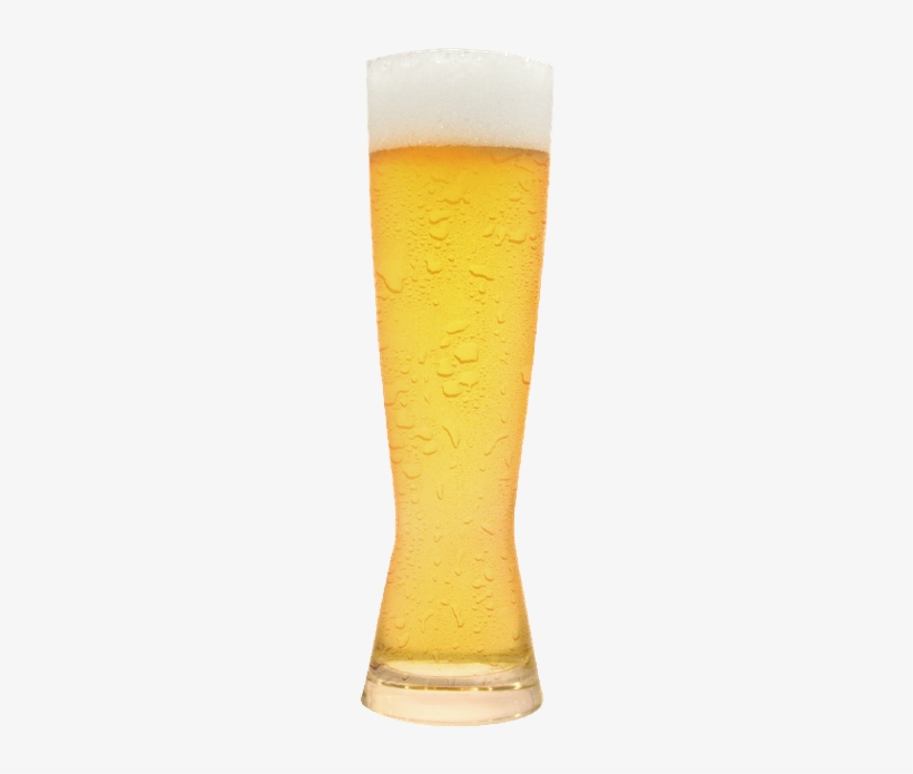 Habituale - Beer Glass, transparent png #3922041