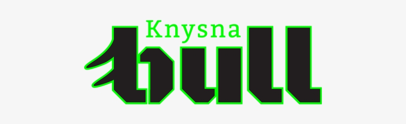 Bull Prologue - Knysna Bull Race Village, transparent png #3922592