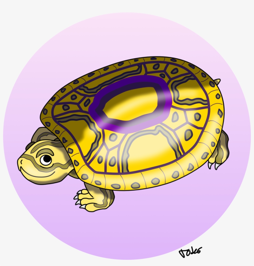 Gsll-turtle - Intersex, transparent png #3923594