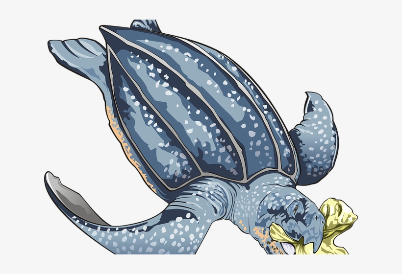 Sea Turtle Clipart Blue - World Environment Day 2018 Beat Plastic Pollution, transparent png #3923697