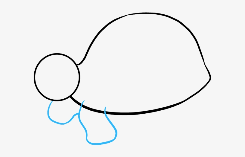 How To Draw Sea Turtle - Drawing, transparent png #3923938