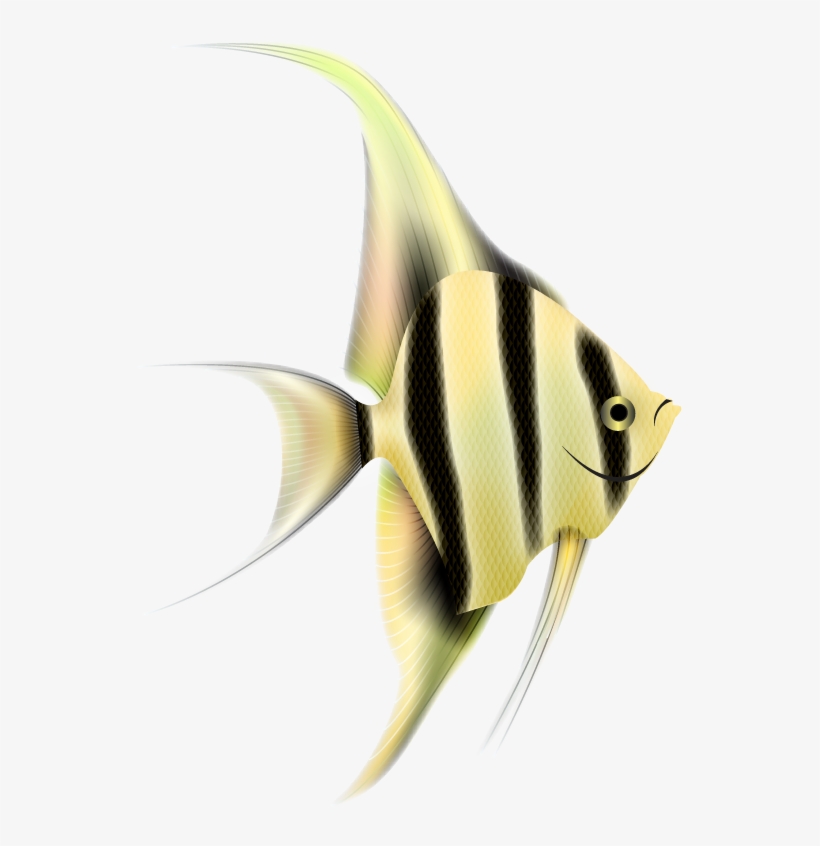 Angelfish Png Clipart - Portable Network Graphics, transparent png #3924612