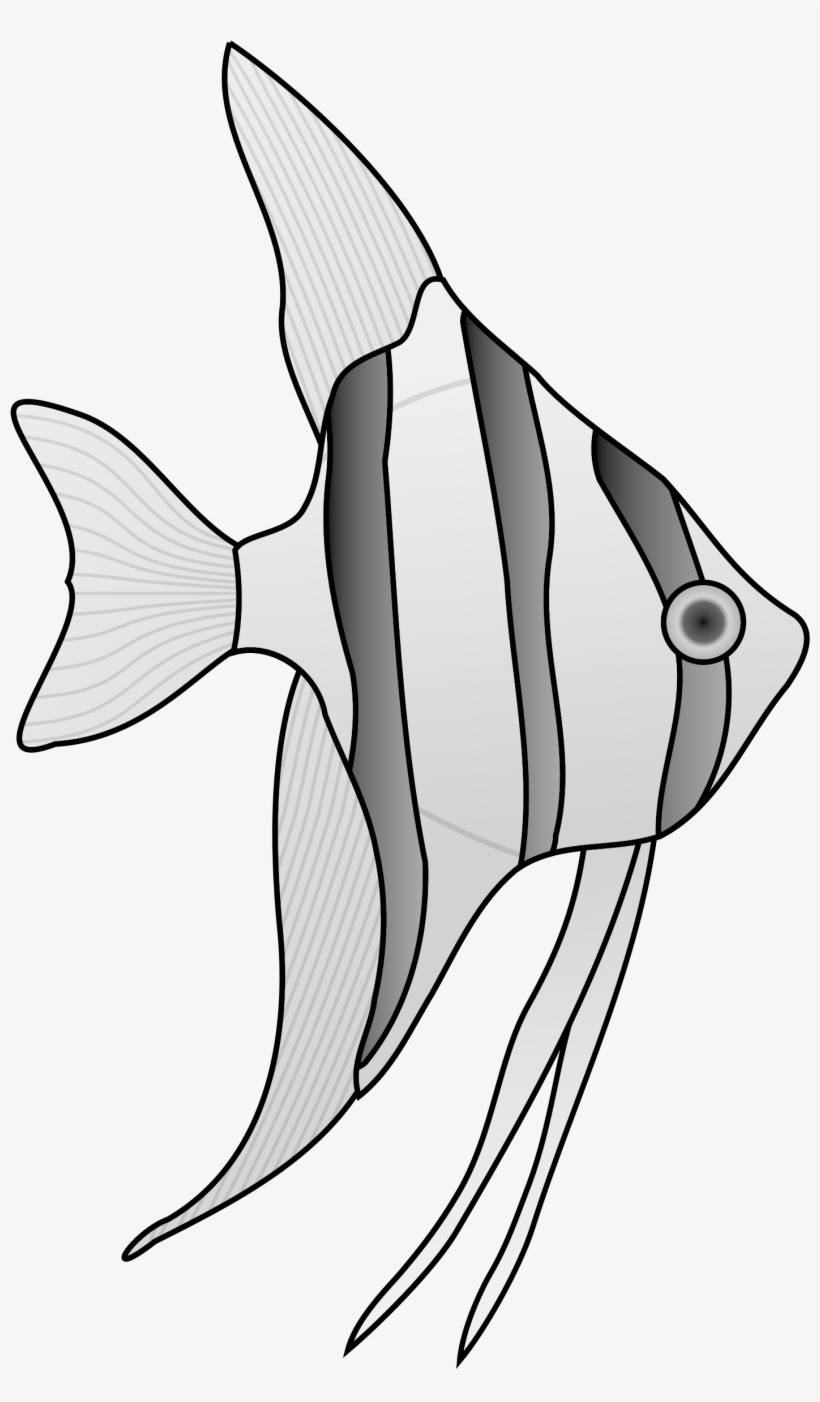 Angelfish Png, transparent png #3924649