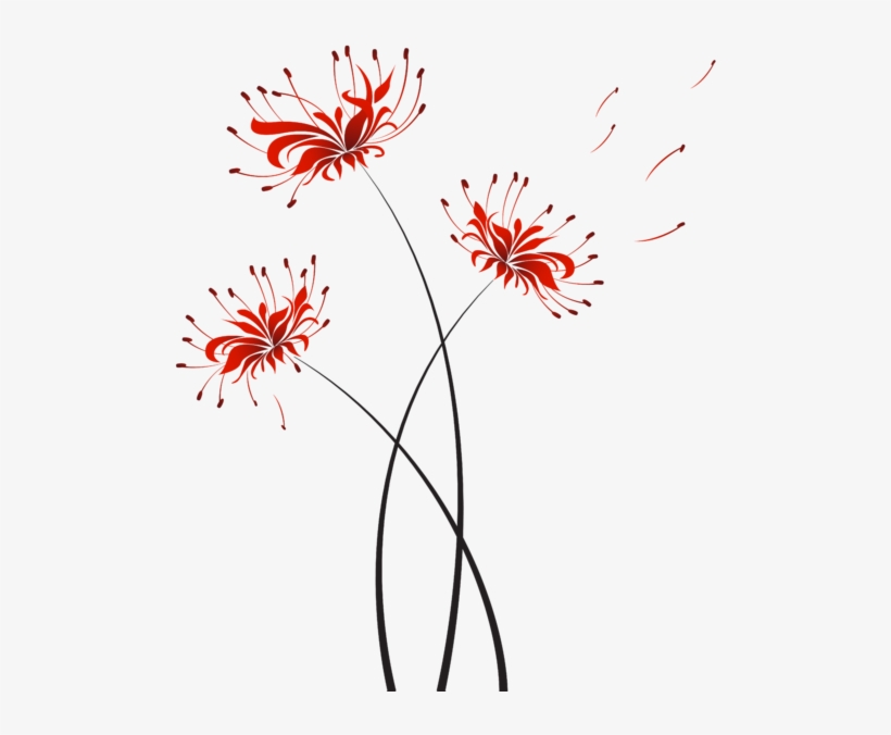 Flower Higanbana Miroslava Hlavacova Transparent - Background Higanbana, transparent png #3924948