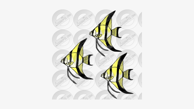 Angelfish Clipart Transparent Fish - Angelfish, transparent png #3924975