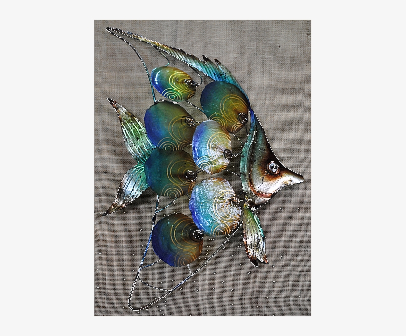 Alpha Santor Angel Fish - Craft, transparent png #3925003