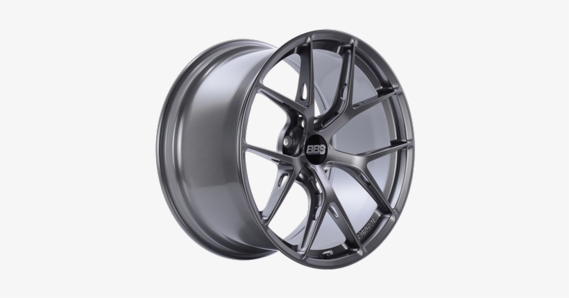 Fir - Bbs Fir, transparent png #3925189