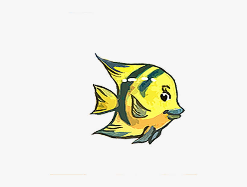 For Ages 3-5 Years Old - Coral Reef Fish, transparent png #3925374