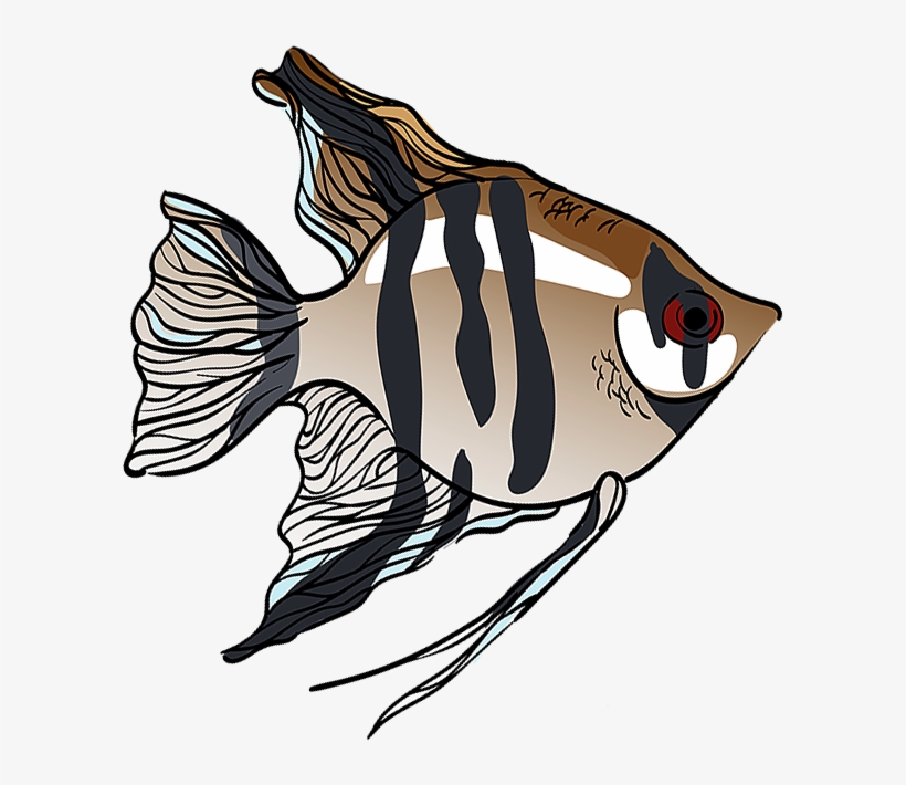 Angelfishes - Angelfish, transparent png #3925547
