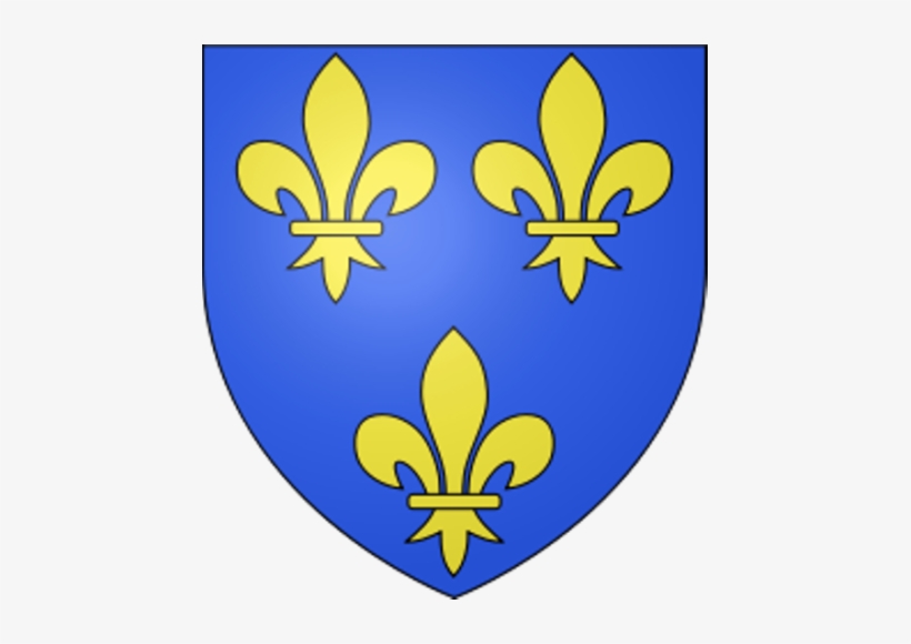 D'on Prové El Terme “botifler” - D Anjou Coat Of Arms, transparent png #3926550