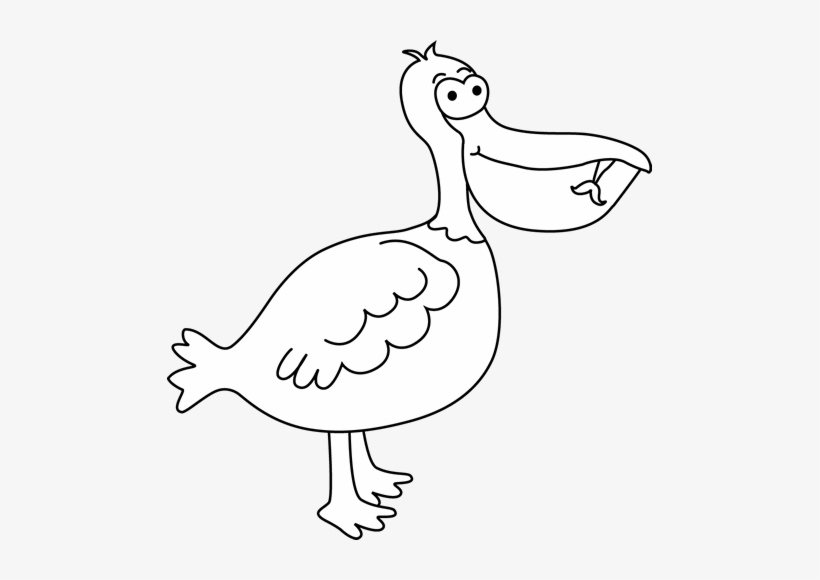 Black And White Pelican Eating Fish - Fish Eating Beak Bird, transparent png #3927768