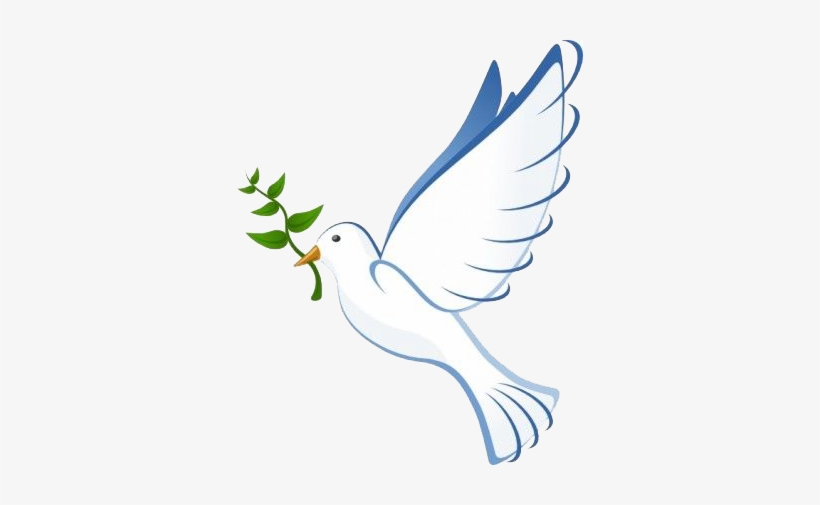 Favor6 - White Dove, transparent png #3927819
