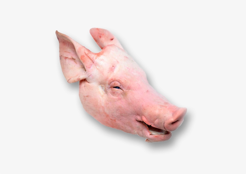 Pork Head - Head Cut Of Pork, transparent png #3927892