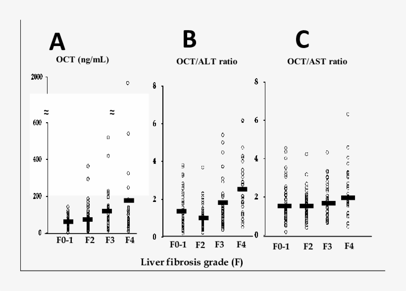 The Relationship Between Liver Fibrosis Grade And Oct - Diagram, transparent png #3928052