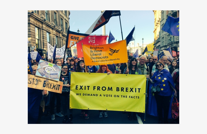 B&h Lib Dems At People's Vote March Oct 20th - Banner, transparent png #3929383