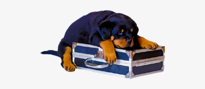 Animals Clipart Png,cartoon Animals Png,cute Animal - Dog, transparent png #3929692