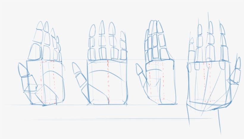 At This Point, Depending On Which Side Of The Hand - Sketch, transparent png #3930032