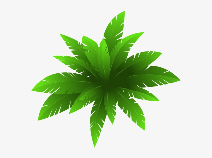 Green Plants Png - Plants Clipart Png, transparent png #3930790