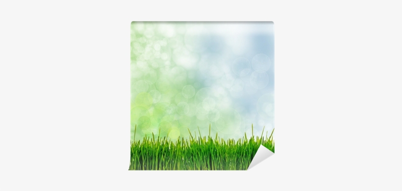 Thune/walker: Die Verändernde Kraft Des Evangeliums, transparent png #3930898