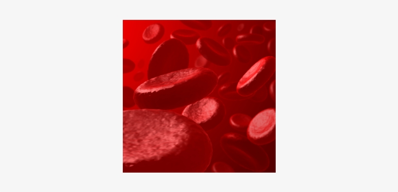 Rbc Lysis, transparent png #3930999