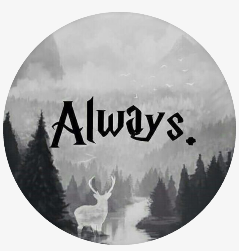 Harry Potter Popsocket Designs, transparent png #3931136