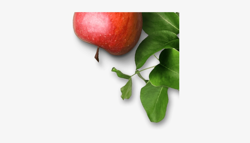 Apple, transparent png #3931210
