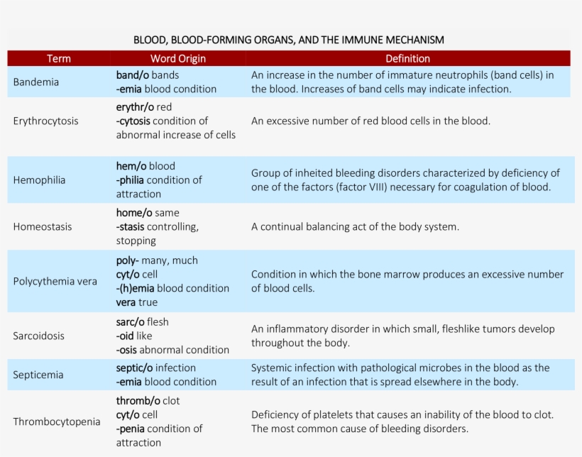 Brush Up On Medical Terminology - Blood Forming Organs, transparent png #3931289