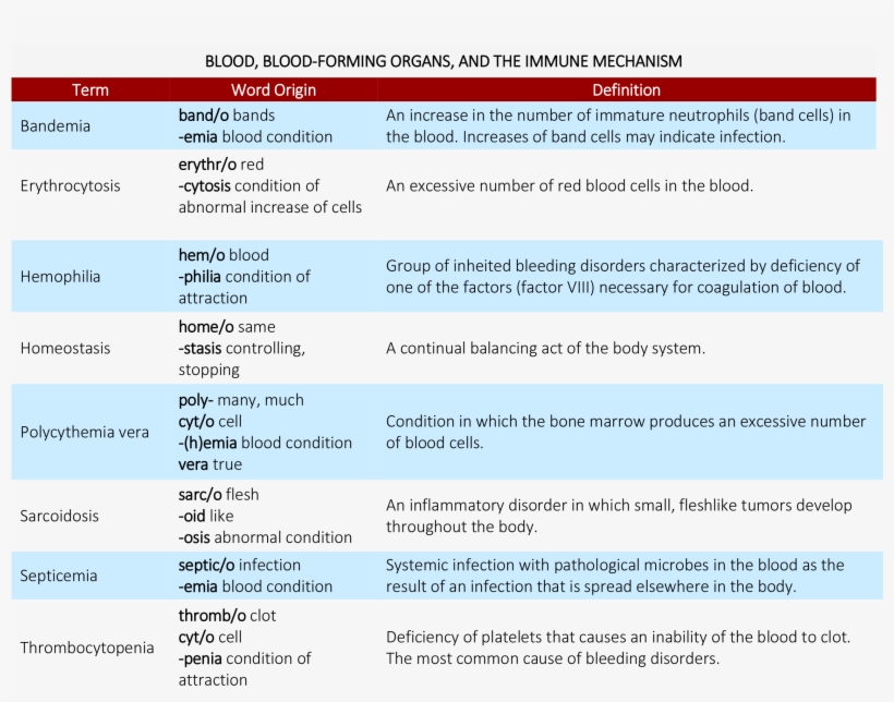 Brush Up On Medical Terminology - Blood Forming Organs, transparent png #3931289