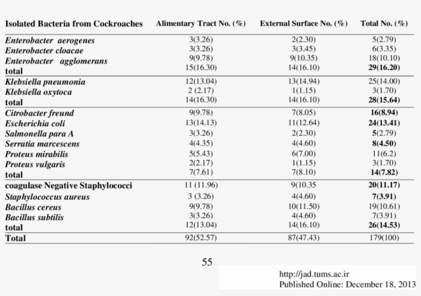Frequency Of Isolated Bacteria From Cockroaches - Number, transparent png #3931508