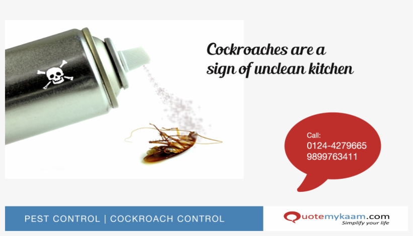 Remedies To Remove Cockroaches From Kitchen - Remedy To Get Rid Of Cockroaches, transparent png #3931539