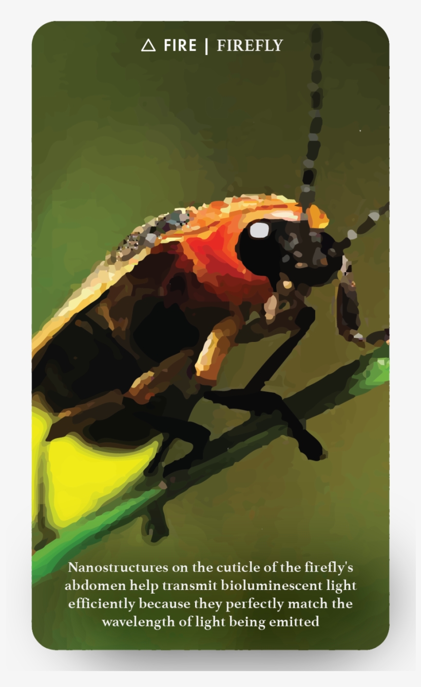 Fire-01, transparent png #3932039