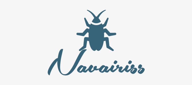 4 Perilous Side-effects Of Living With A Cockroach - Nasty Woman Greeting Cards, transparent png #3932105