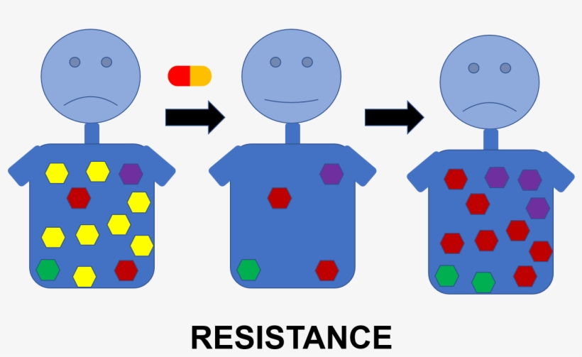 We Use Multidisciplinary Approaches, Combining Crystallography, - Portable Network Graphics, transparent png #3932106