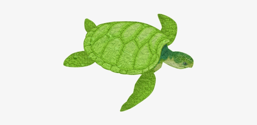 Turtle, Animal, Sea Animal, Tortoise - Sea Life Clipart, transparent png #3932225