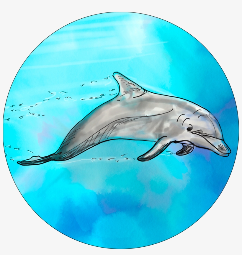 Common Bottlenose Dolphin, transparent png #3932402