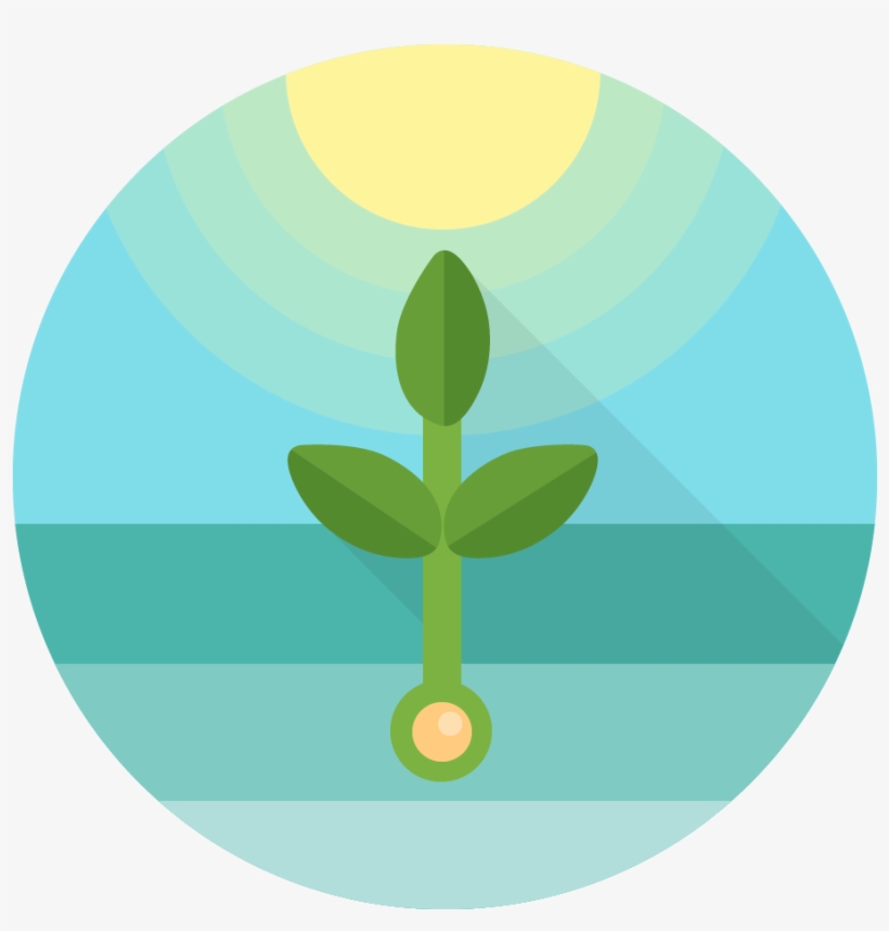 Zoom Out Map Implementation Process - Implementation, transparent png #3932606