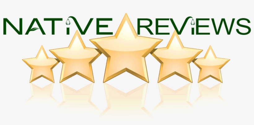 Reviews - 5 Star, transparent png #3932804