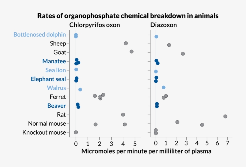 A Chart Showing The Rate Of Organophosphate Chemical - Organophosphate Poisoning, transparent png #3933087