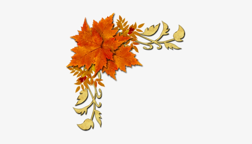 Autumn Desing Png Png Images - Fall Leaf, transparent png #3933481