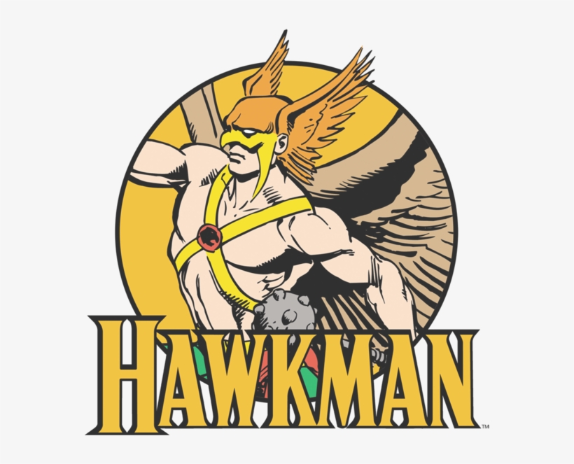 Dc Comics Hawkman Men's Regular Fit T-shirt - Dc/hawkman Junior Sheer In Coffee, Girl's, Brown, Size, transparent png #3933550