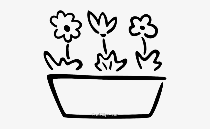 Potted Flowers Royalty Free Vector Clip Art Illustration - Illustration, transparent png #3933882