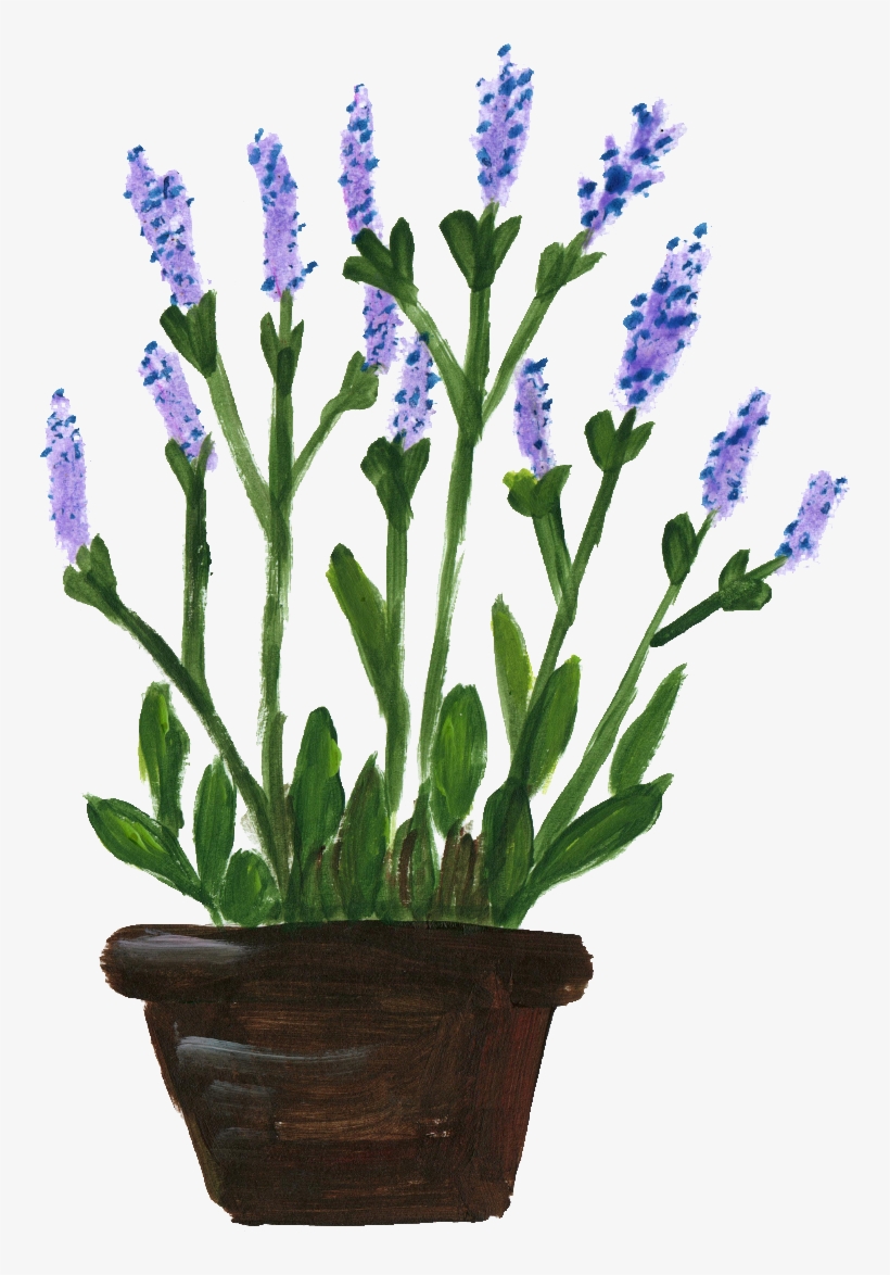 Flower Pots With Flowers Png Potted Flower Png - Lavanda En Maceta Dibujo, transparent png #3934375