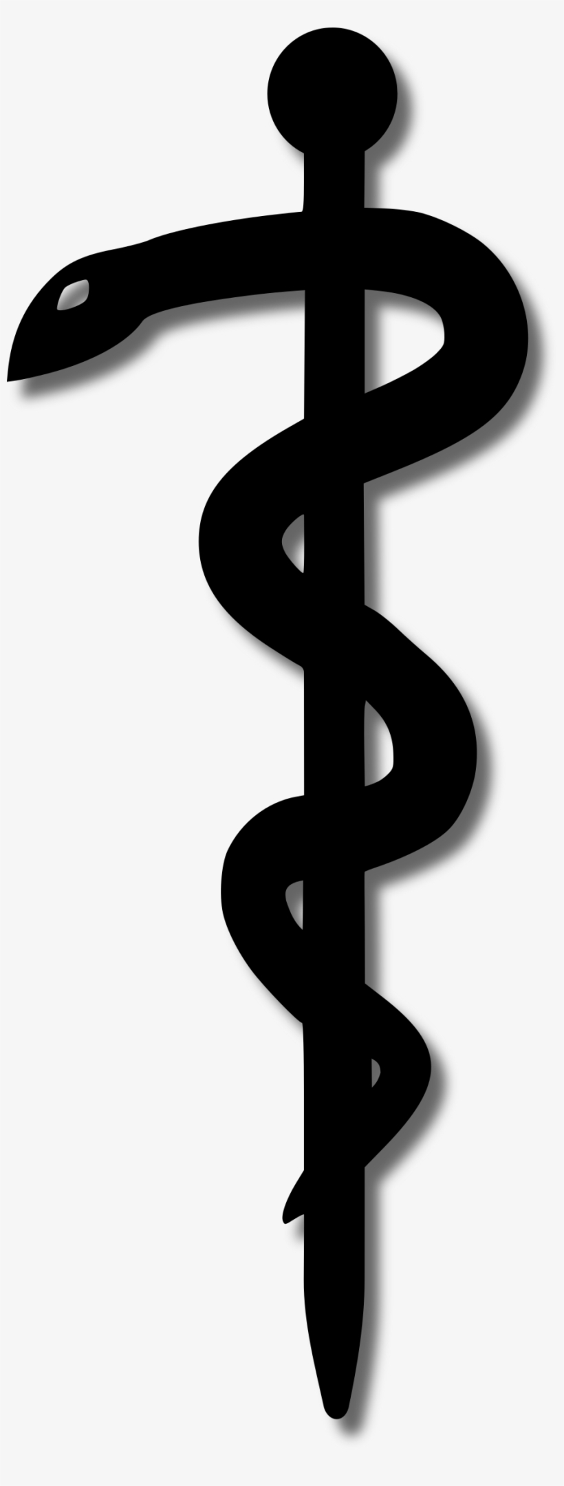 Aesculap Snake, transparent png #3934379