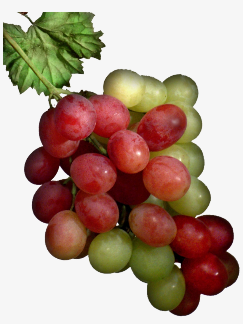 Helps To Improve Calcium Retention In Bone And Reduce - Sultana, transparent png #3935979